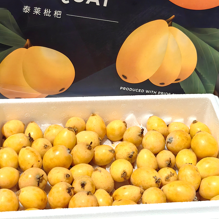 tate-lyle-loquat-gift-box-sm-approx-2kg-1