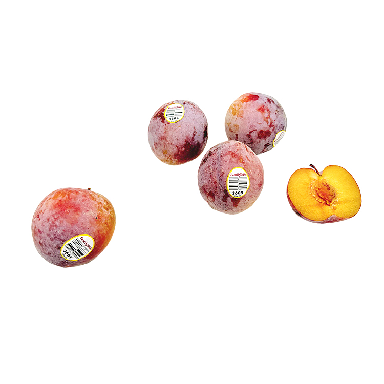 air-freight-usa-dinosaur-egg-lover-plum-4pcs-2