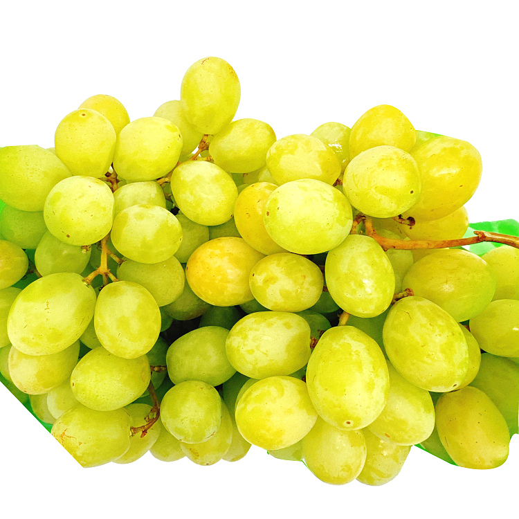 fruitico-sweet-earth-approx-1kg-2
