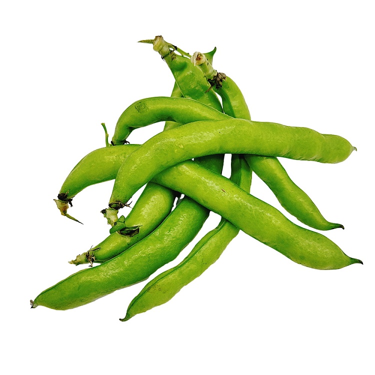 freshumall-self-operated-broad-beans-about-500g-1
