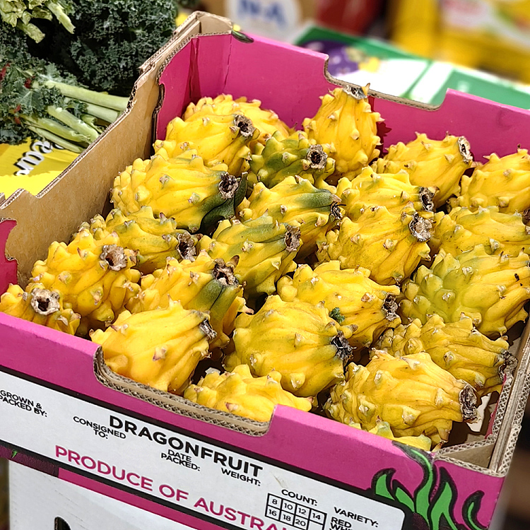 medium-pitaya-dragon-fruit-2pcs-4