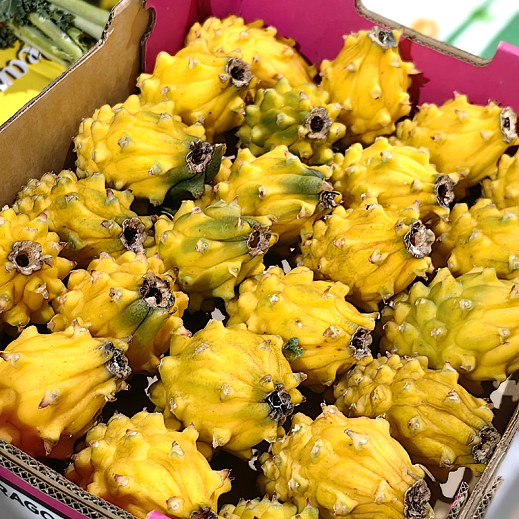 medium-pitaya-dragon-fruit-2pcs-5