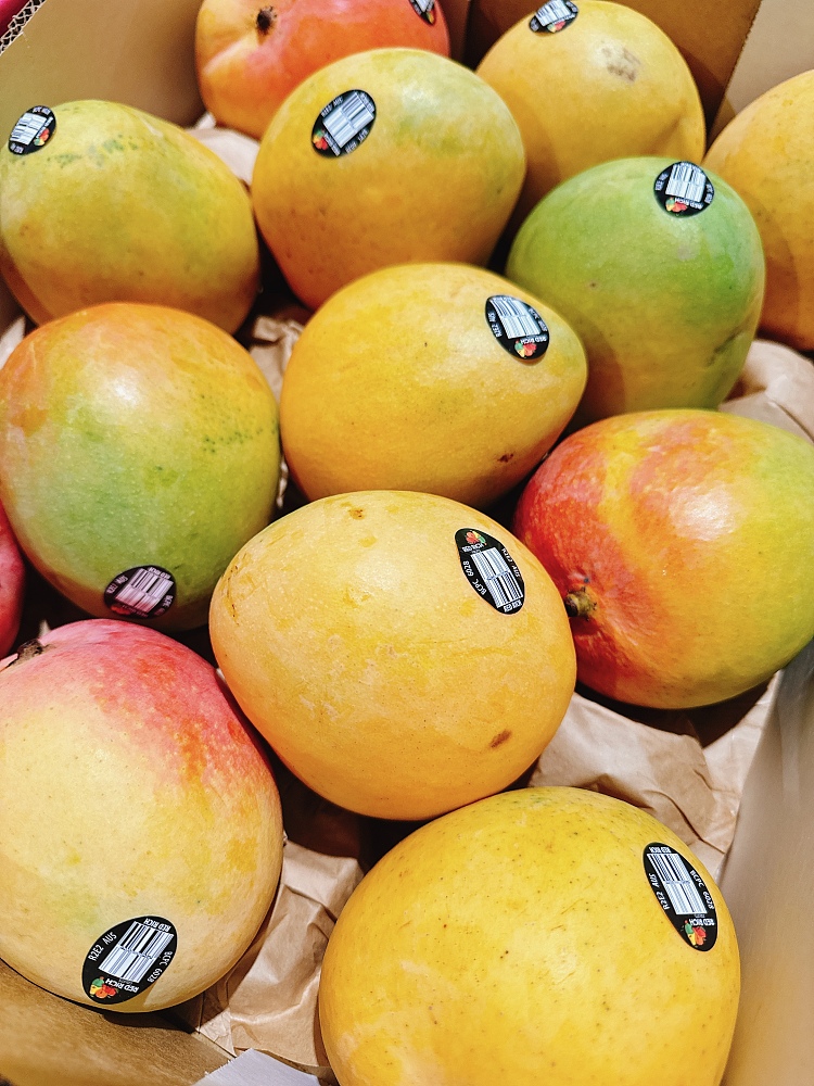 r2e2-mango-medium-large-1pc-1