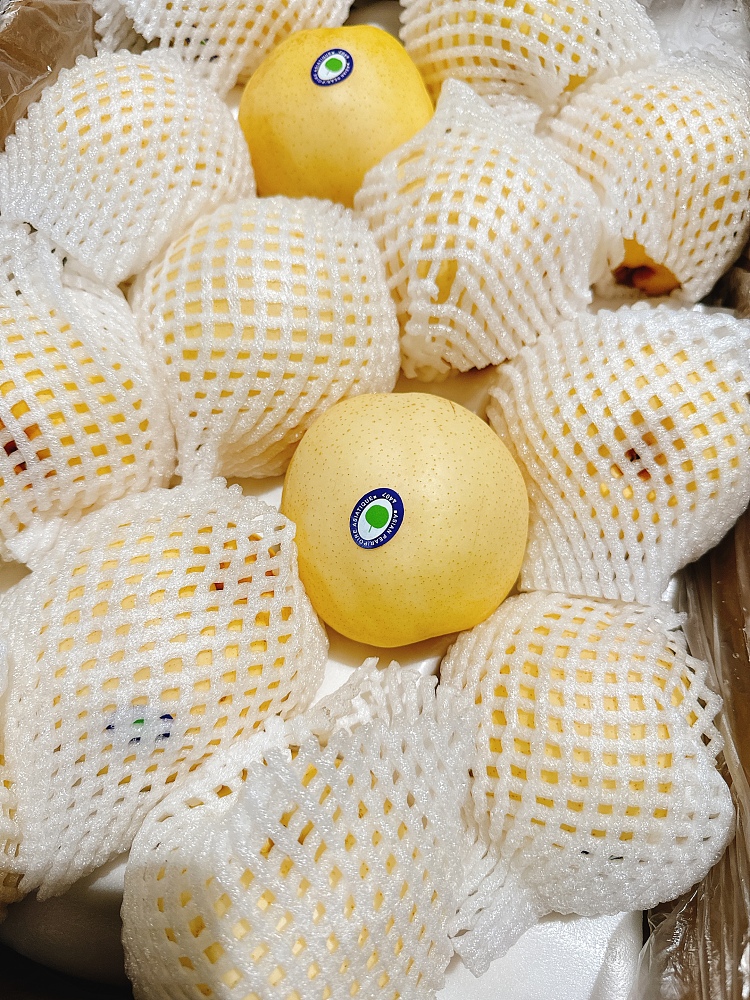 asian-pear-size36-2
