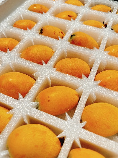 澳洲泰莱枇杷 Tailai Loquat XL 礼盒装 约1kg