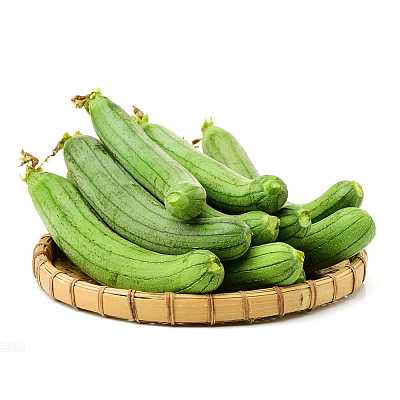 丝瓜 Luffa 1根