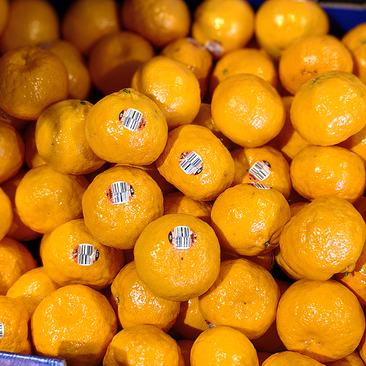 avana-sweet-orange-approx-1kg-2