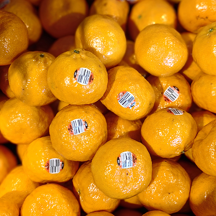 avana-sweet-orange-approx-1kg-3