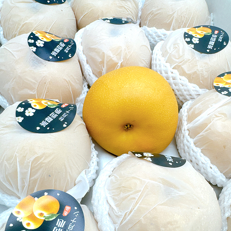 autumn-moon-pear-size11-2