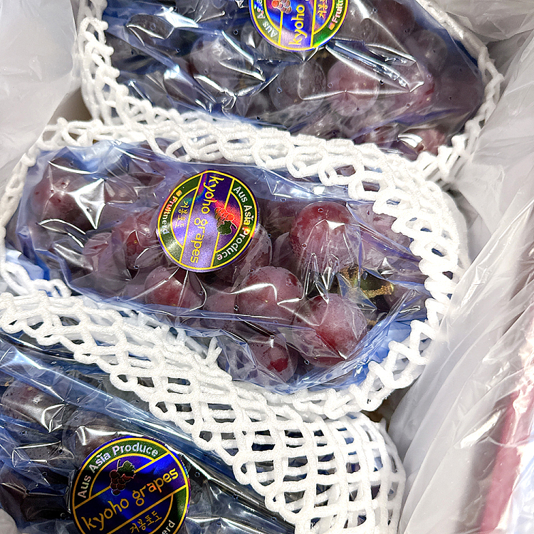 whole-case-korea-imported-jumbo-grapes-approx-2kg-1
