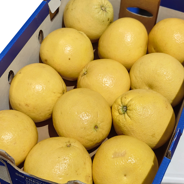 pomelo-white-grapefruit-approx-08-1kg-1