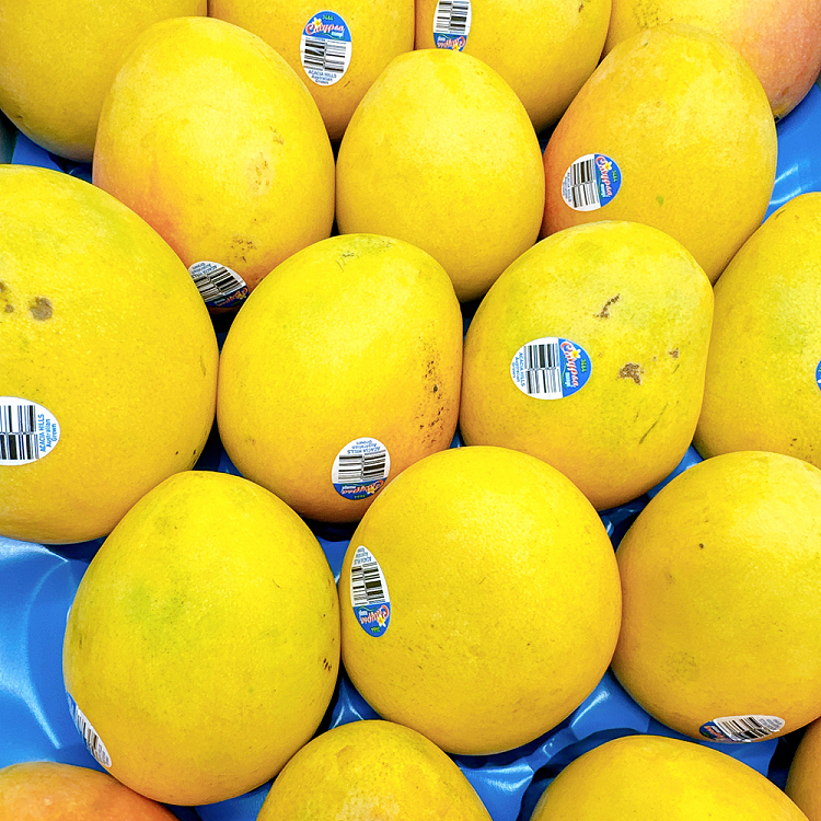 calypso-mango-medium-2pcs-2