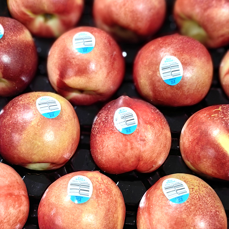 4-medium-large-nectarines-2