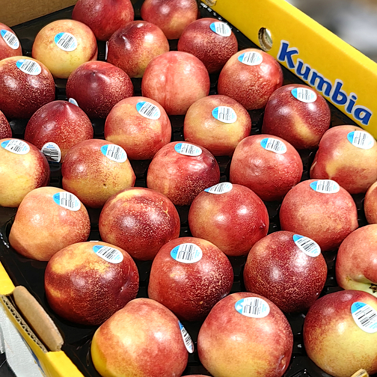 4-medium-large-nectarines-1