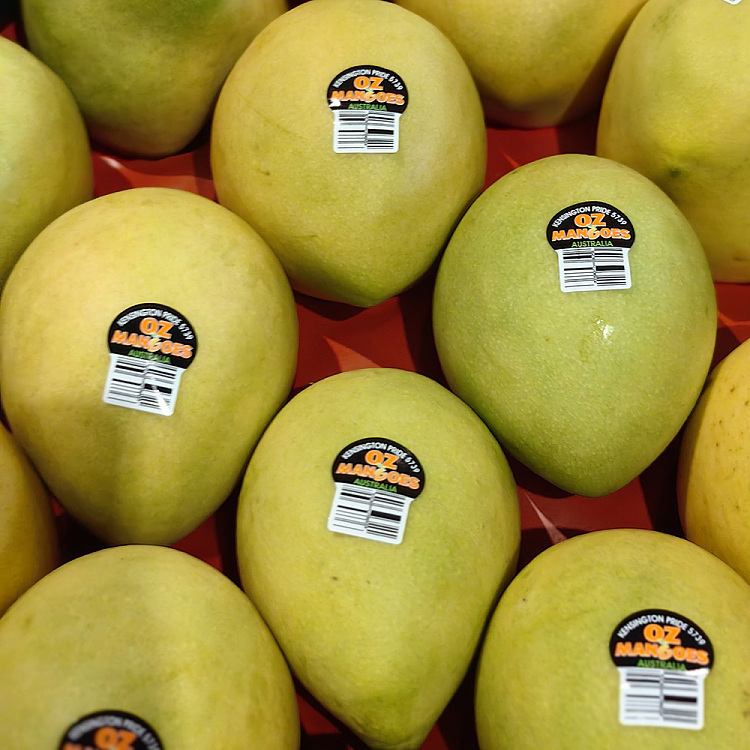 kp-mango-medium-2pcs-2
