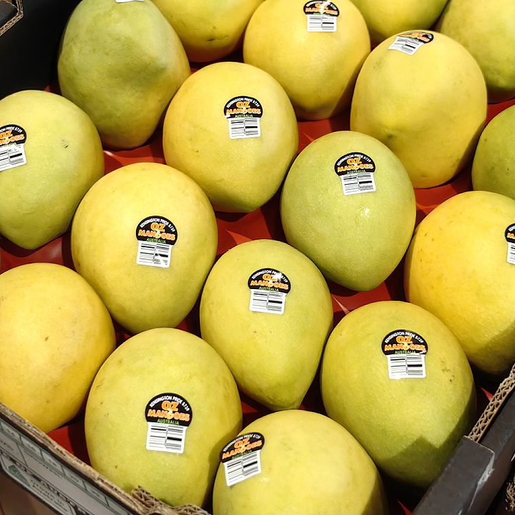 kp-mango-medium-2pcs-1
