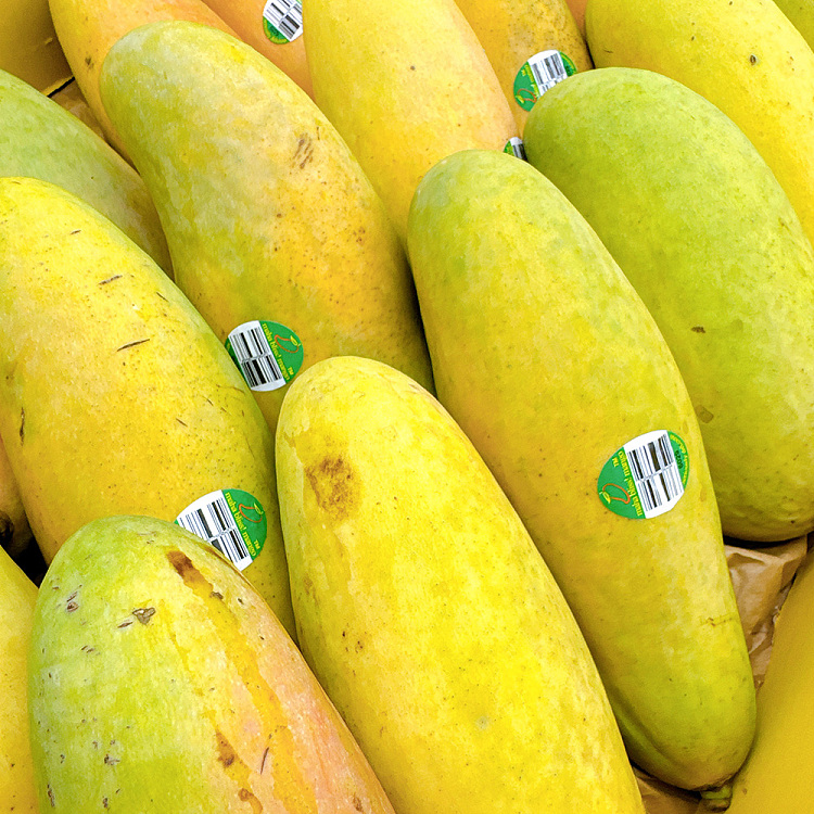 maha-longya-mango-750-850g1pc-1