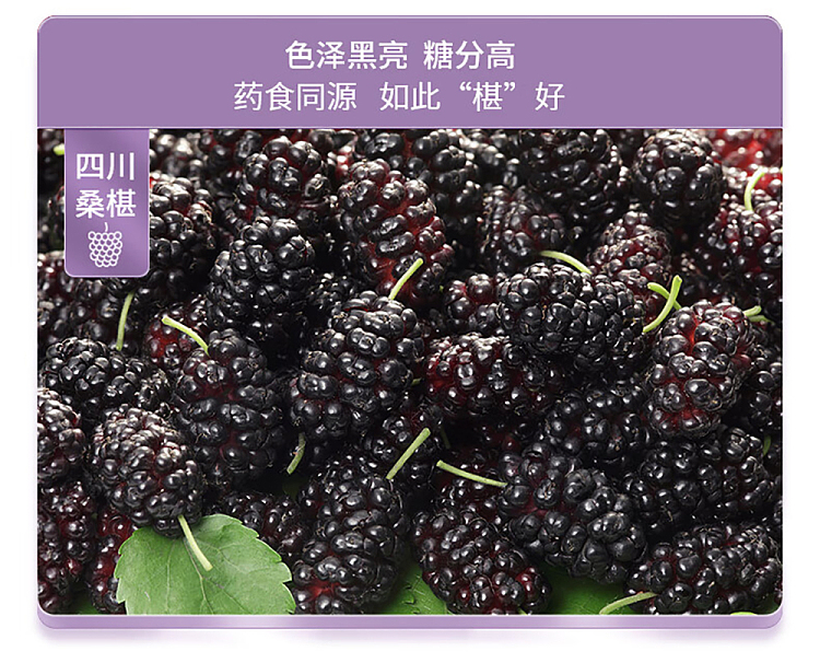 old-gold-mill-tea-bag-sour-plum-soup-tea-120g-5