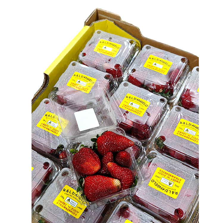 dangelo-extra-large-sweet-strawberries-approx-250g-2