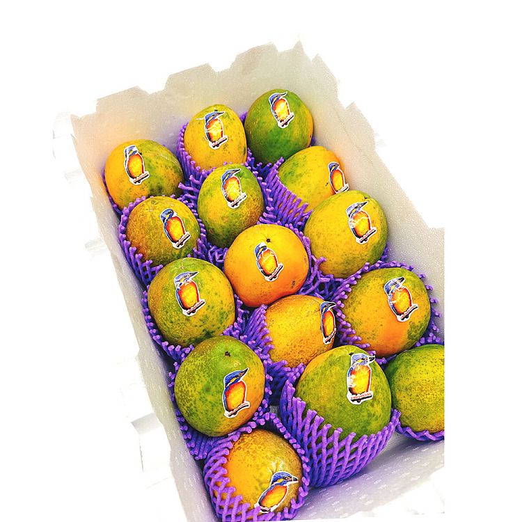 woodpecker-red-papaya-1pc-6