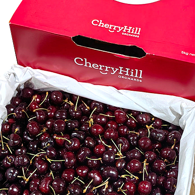CherryHill樱桃 28-30mm 约300g
