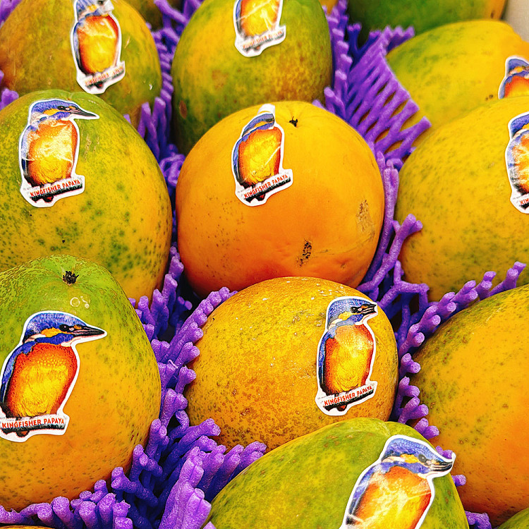 woodpecker-red-papaya-1pc-5