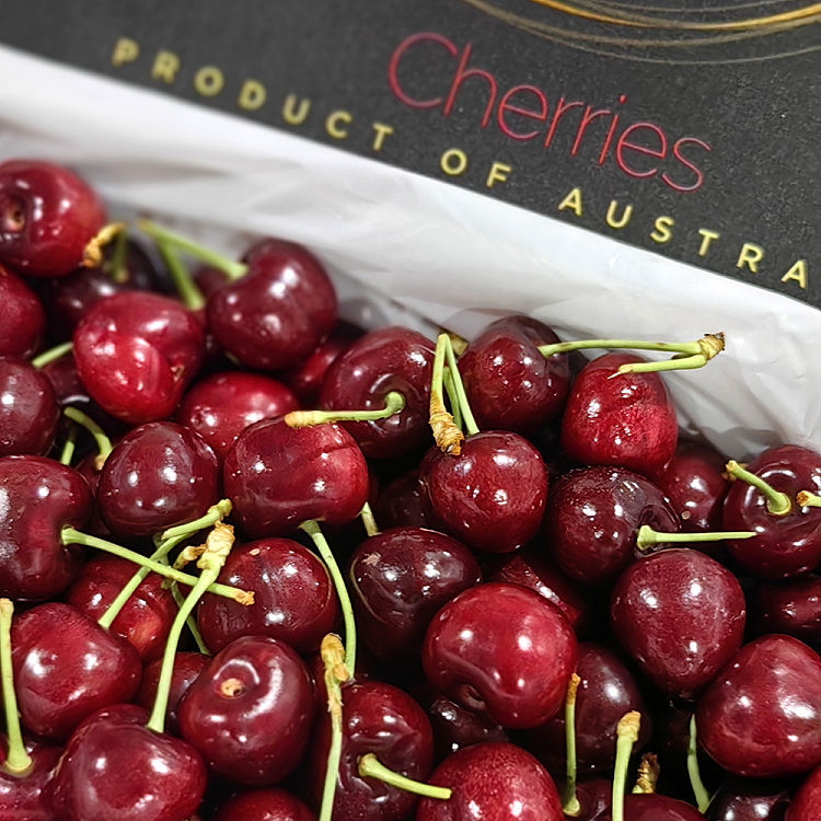 cartonkyohoking-cherry-28-30mm-approx-2kg-1
