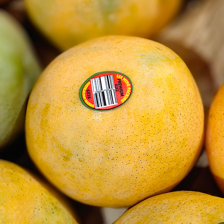 r2e2-mango-medium-2pcs-1