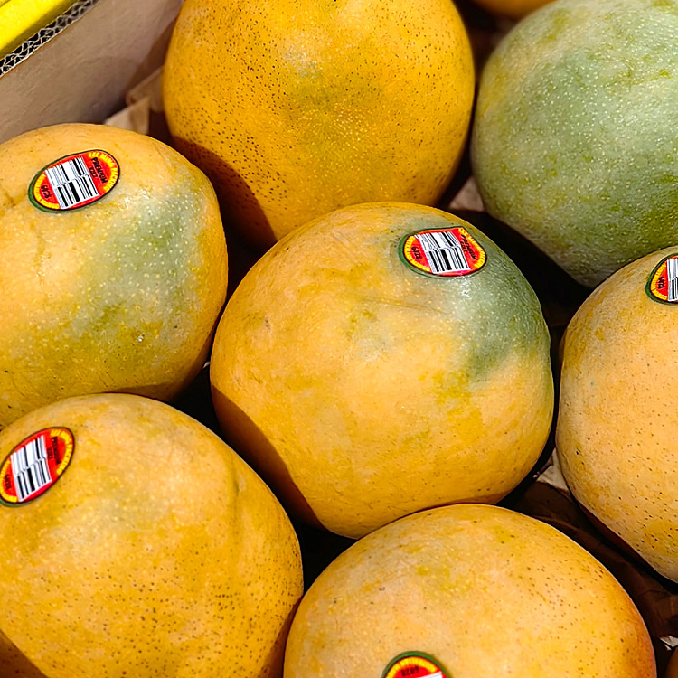 r2e2-mango-medium-2pcs-2