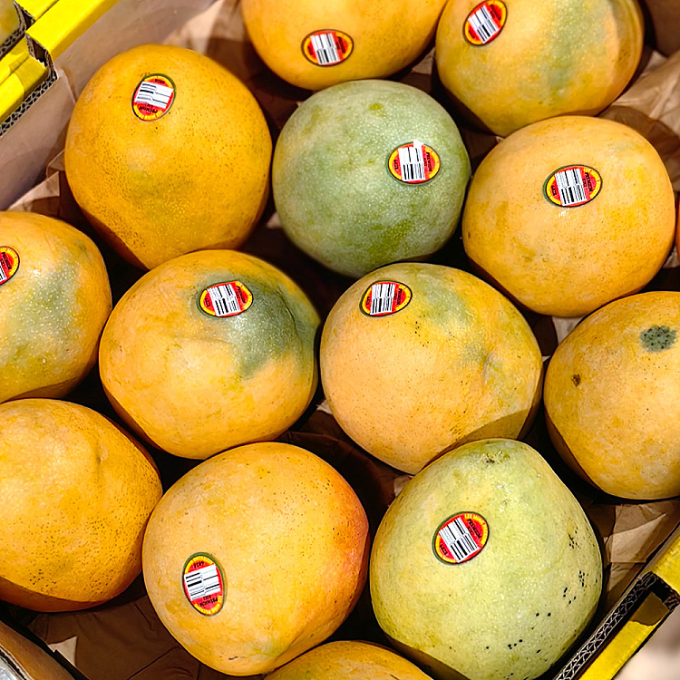 r2e2-mango-medium-2pcs-3
