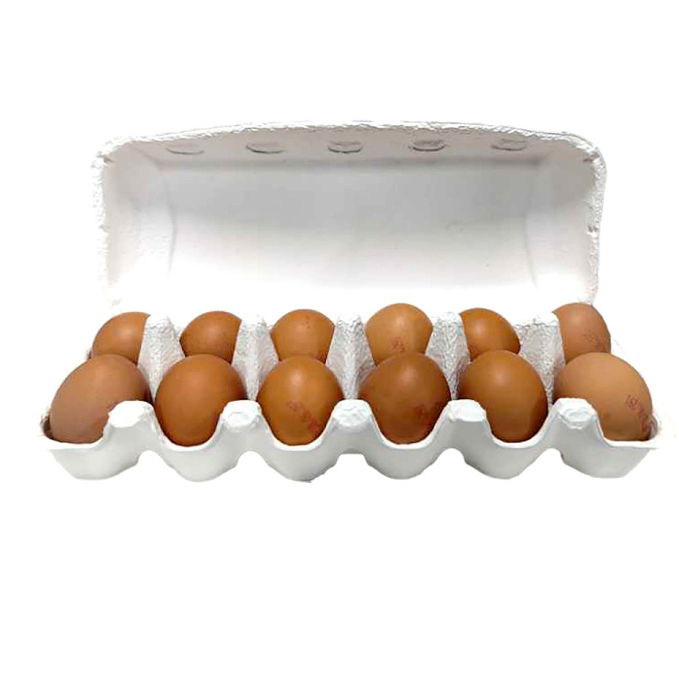 freshashsons-large-jumbo-walking-eggs-12pcs-about-700g-2