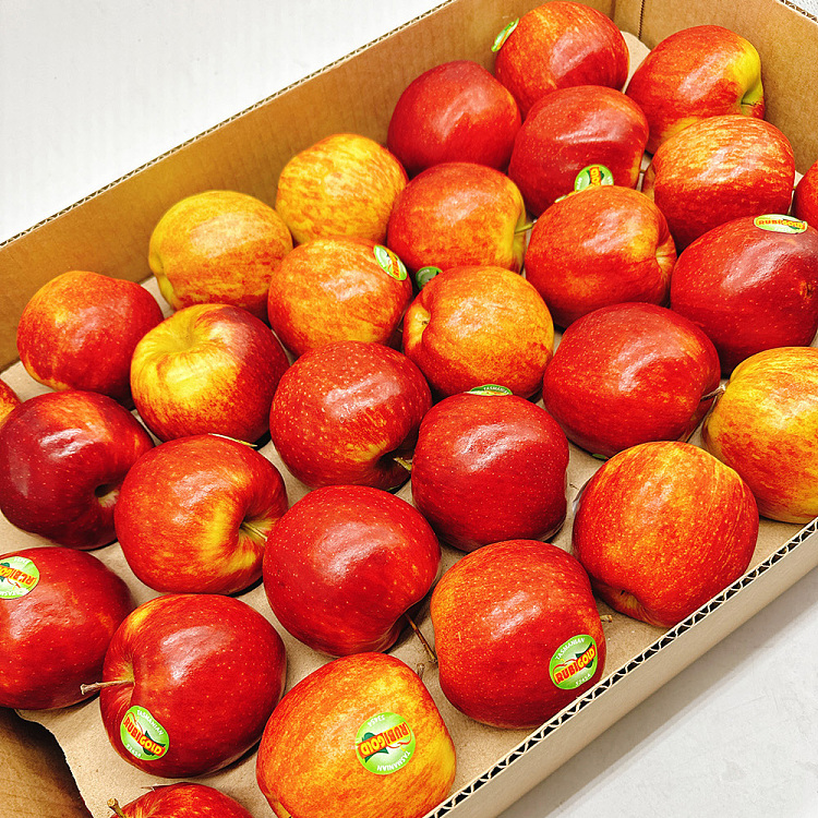rubygold-sweet-crispy-apple-whole-carton-approx-12kg-3