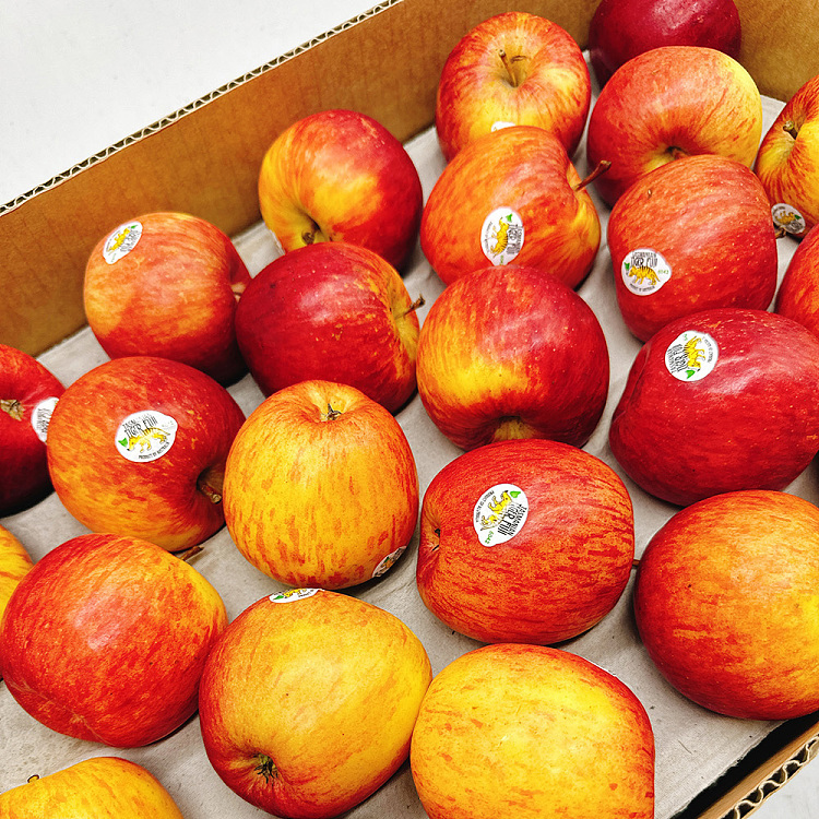 tasmanian-tiger-fuji-apples-approx-125kg-2