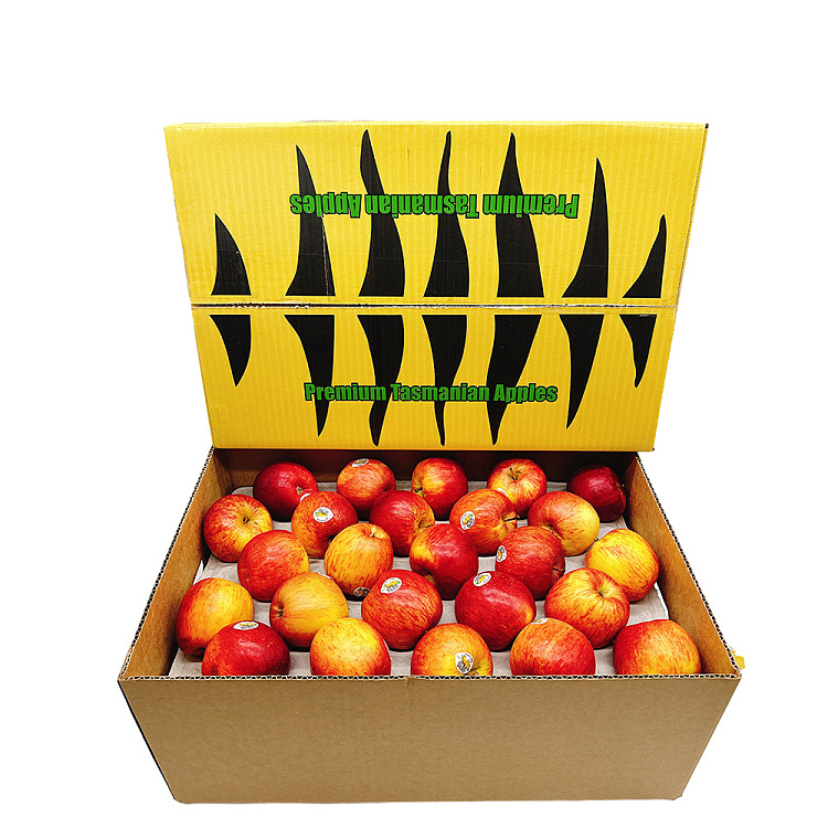 tasmanian-tiger-fuji-apples-approx-125kg-1
