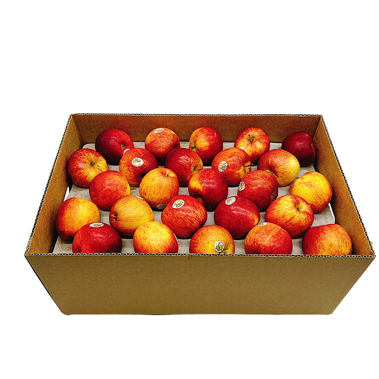 tasmanian-tiger-fuji-apples-approx-125kg-4
