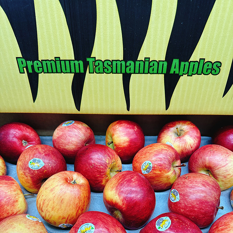 tasmanian-tiger-fuji-apples-approx-125kg-3