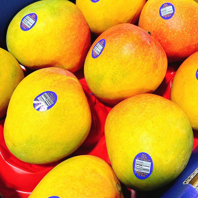 r2e2-mango-extra-large-size81pcs-2