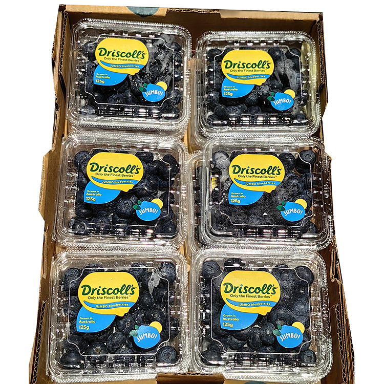 driscolls-jumbo-blueberries-12-pack-1