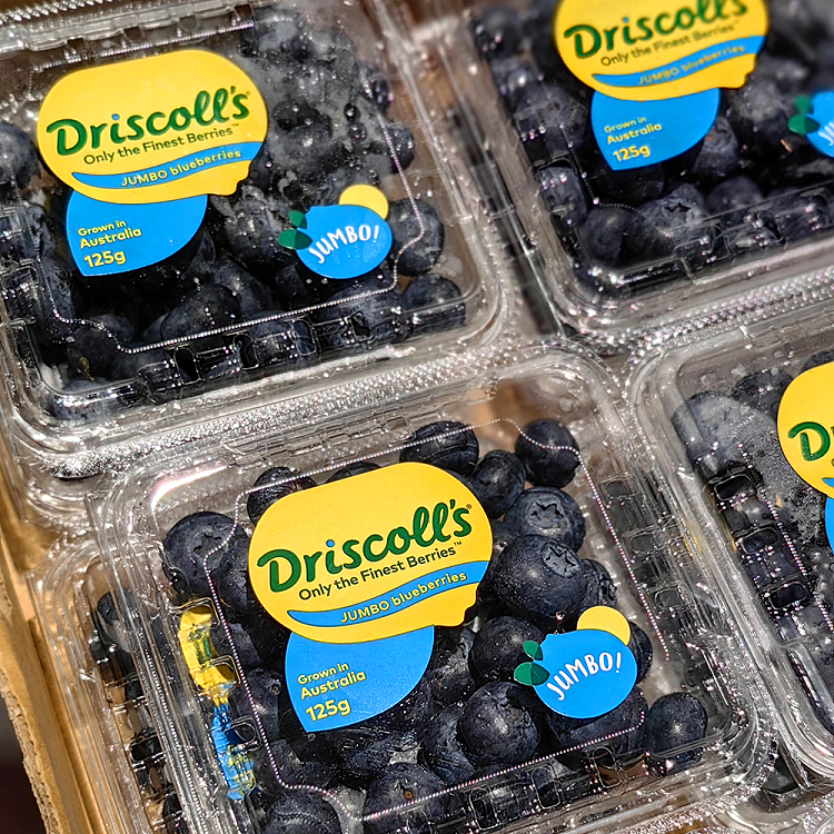 driscolls-jumbo-blueberries-12-pack-3