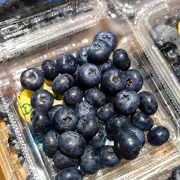 driscolls-jumbo-blueberries-12-pack-2
