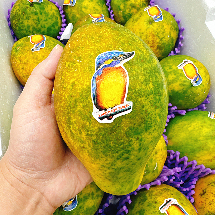 woodpecker-red-papaya-1pc-1