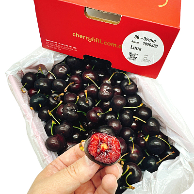 【整箱】CherryHill樱桃 30-32mm 礼盒装 约2kg