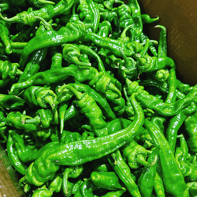 xinjiang-screw-pepper-about-500g-2