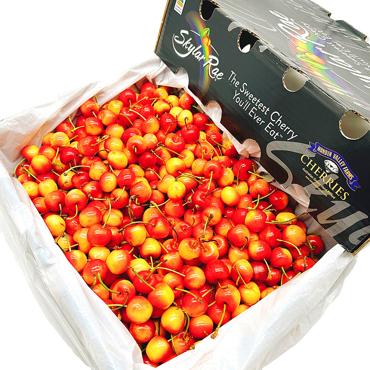 skylarerae-white-cherry-24-26mm-about-500g-3