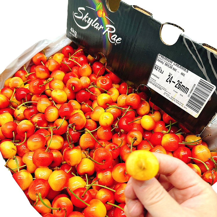 skylarerae-white-cherry-24-26mm-about-500g-2