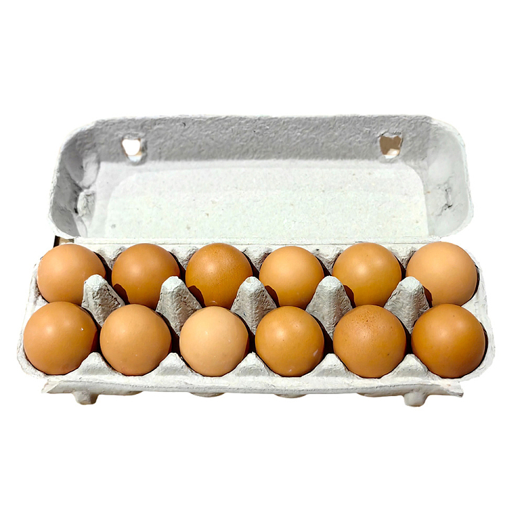 farm-fresh-cage-eggs-xl-12pcs-700g-5