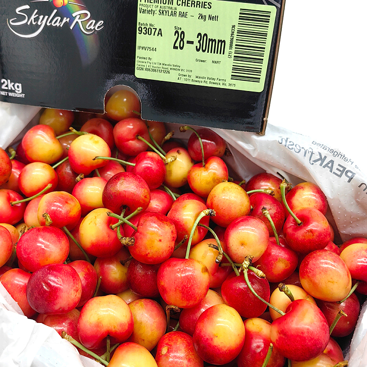 skylarerae-white-cherry-28-30mm-gift-box-approx-2kg-2