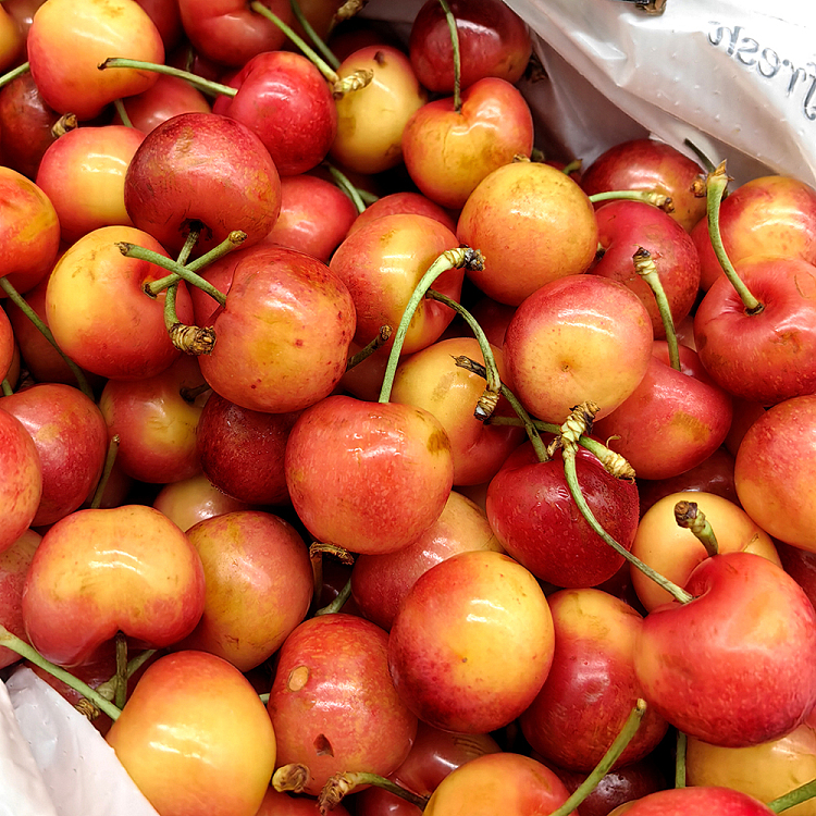 skylarerae-white-cherry-28-30mm-gift-box-approx-2kg-6