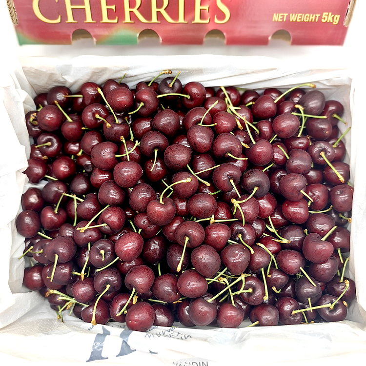 wvfroyaltioga-chelsea-28-30mm-about-500g-1