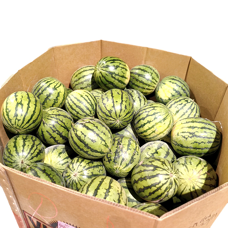 ice-sugar-watermelon-about-5-6kg-3